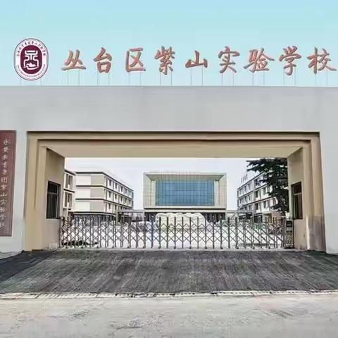 心怀热爱  躬耕乡村教育——邯郸市从台区紫山实验学校青年教师风采展示