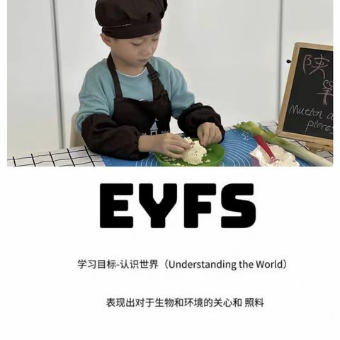 EYFS Understanding the world食育课程:《陕西羊肉泡馍》