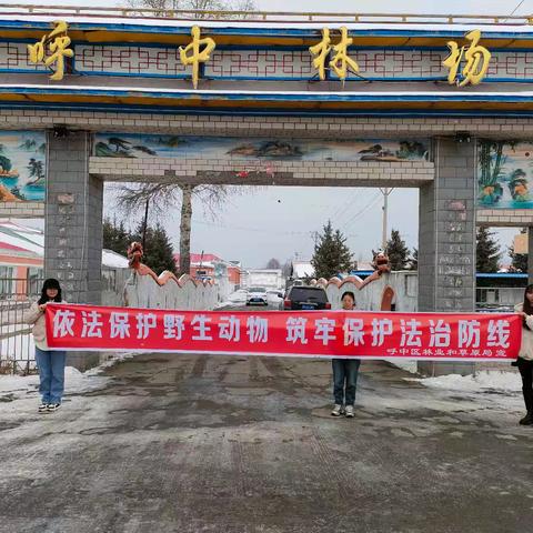 呼中区林草局开展野生动物宣传月活动