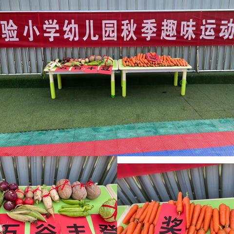 樱桃园镇实验小学幼儿园秋季趣味运动会