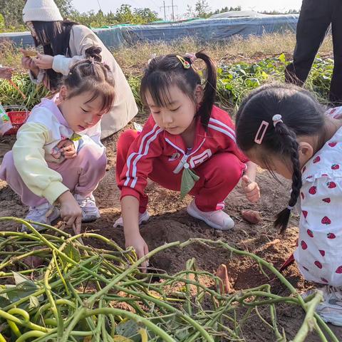 嘿！一起秋游吧🍂——潍坊高新区实验第二幼儿园秋游记