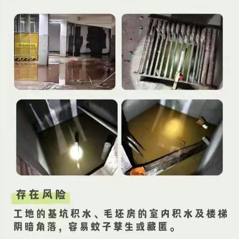 基孔肯雅热防控方法：蚊虫孳生地要做好“五清五倒”