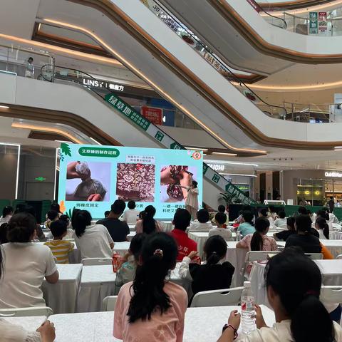 《艾草锤锤 健康相随》——2103班2小组