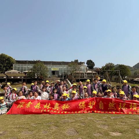 探索森林奥秘 保护自然环境      重庆市江北区玉带山小学校北校区一年级13班环境教育研学主题活动