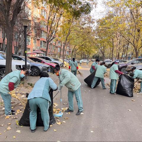 服务提高生活品质，和谐共建美好家园！白桦林居，持续开展“清洁家园”活动。