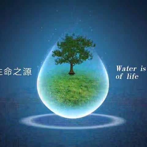 王岗小学“三节约”主题活动