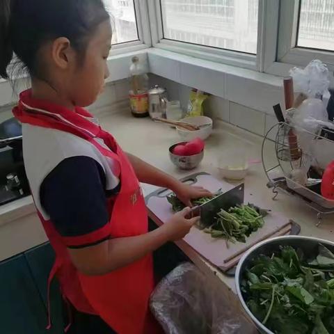 暑期综合实践，点亮“多彩暑假生活”