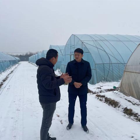 区农业农村局开展应对低温雨雪天气大检查