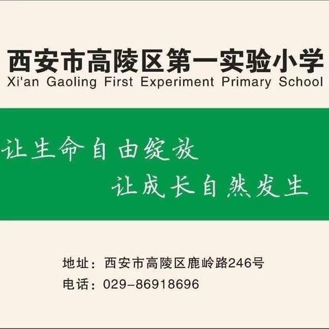 学习竹编工艺 体验非遗魅力——高陵区第一实验小学三年级“竹制花篮当果盘”劳动教育实践活动