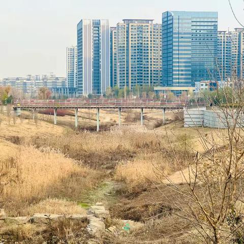 冬日济南，遇见韩仓河