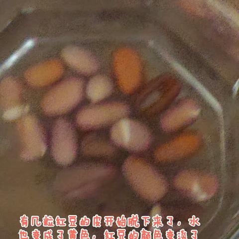 红黄豆成长记 姓名:王怡薇 辅导老师:孙凤霞