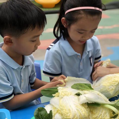 劳动最光荣，￼￼我的食物我做主￼