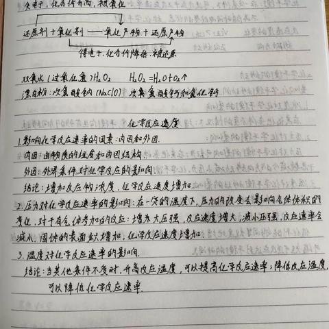 洪乐乐化学课程探索性学习报告