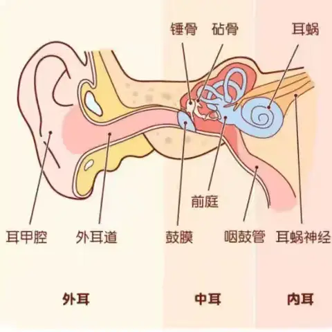 在童声笑语中守护听力的奇迹——张汪镇中心幼儿园“爱耳日”主题活动