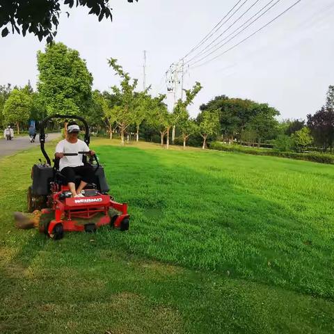 守护绿色家园：永城市沱南生态广场打草行动进行中