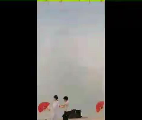 视频全集