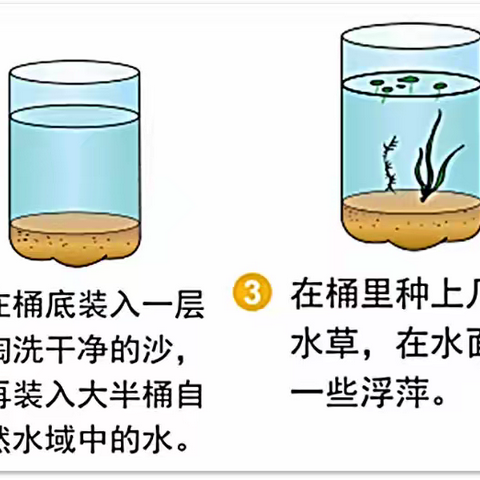 科学实验小课堂