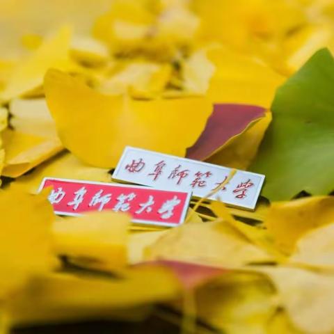 “心”之所向，在初秋遇见最美曲园 ——记山东省中小学心理健康教育省级骨干教师培训