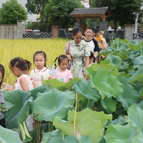 【高幼·幼儿】“一粒种子总有一块地适合”——高湖镇中心幼儿园2024年秋季开学系列活动