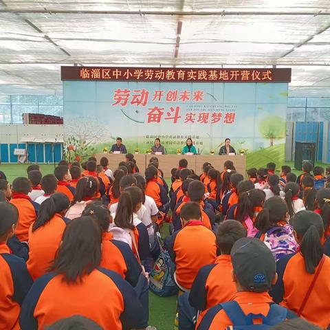 临淄区实验小学：四年级劳动小达人 开启劳动实践新篇章