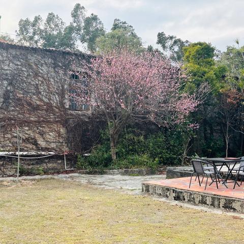 遇“桑”你，“葚”是绝绝紫 --墨熙托育亲子研学活动