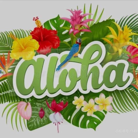 “夏威夷沙滩” 派对 --墨熙托育六一儿童节活动