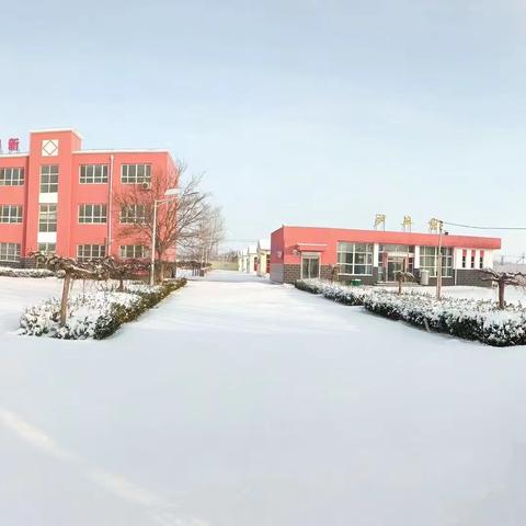 晨光落雪日色寒，校园除雪护平安——小张官小学家校合作扫雪活动