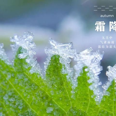 【二十四节气】霜降，秋天的最后一站——霜降小知识