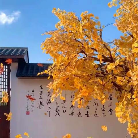 秋季至，宜养生🍂 这些秋季养生小知识 你都知道吗‼️