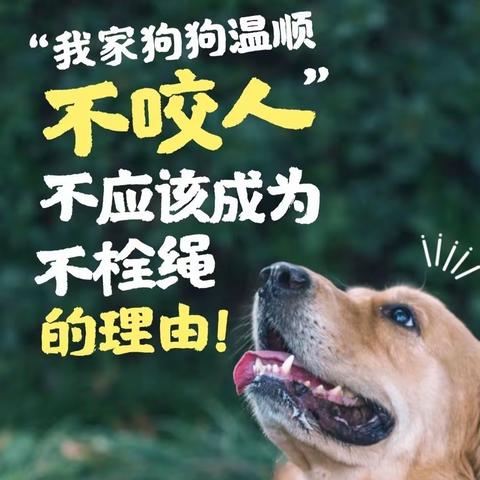 关于文明养犬的温馨提示