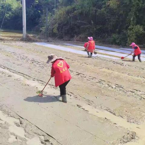 助力春耕生产育秧活动
