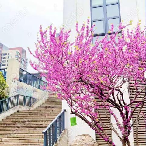 最是人间芳菲处，正值青春梦飞扬—722无课日