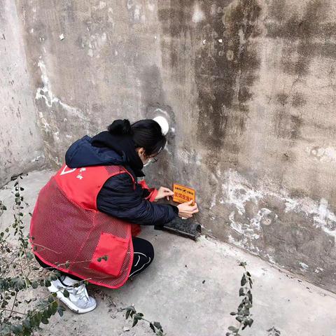 玉祥门社区开展灭鼠药物投放工作