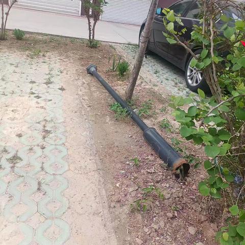 蓝格格巧解千千结之隆春菊手记