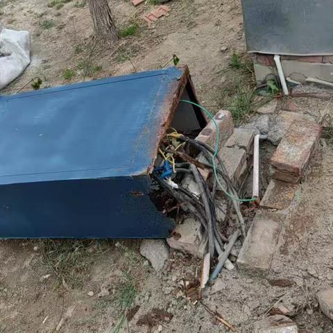 蓝格格巧解千千结之隆春菊手记