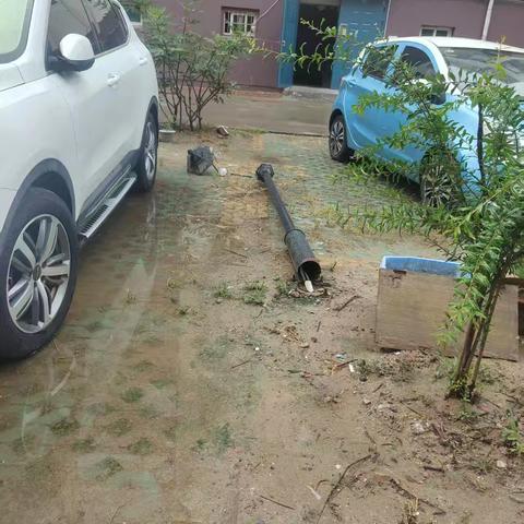 蓝格格巧解千千结之隆春菊手记