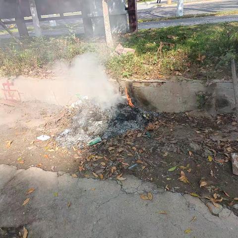 蓝格格巧解千千结之网格员隆春菊手记