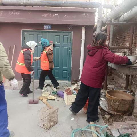 蓝格格巧解千千结之网格员隆春菊手记