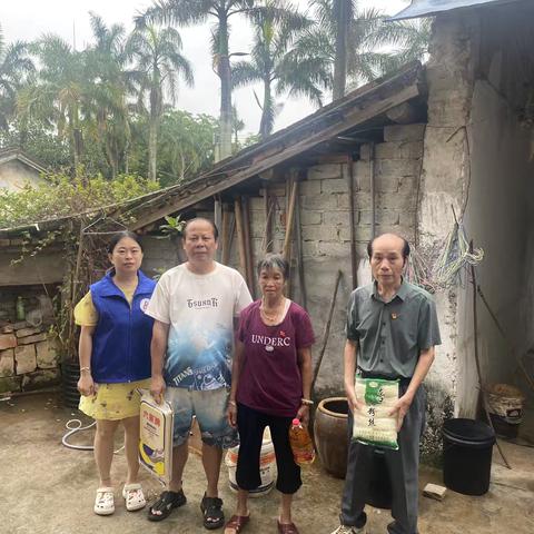 大成镇镇府退休干部职工党支部开展“七一”走访慰问活动