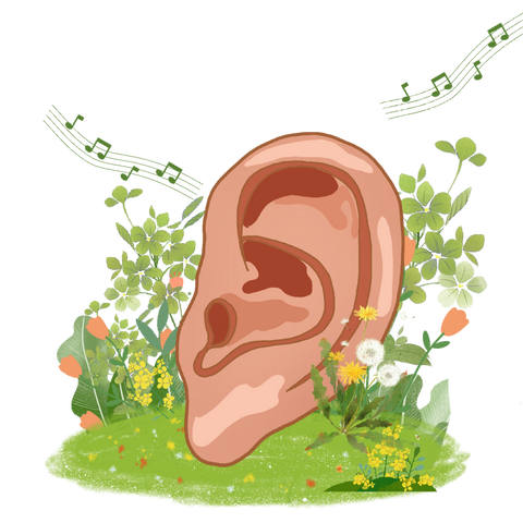 爱耳护耳 聆听未来——百杏幼儿园爱耳日活动