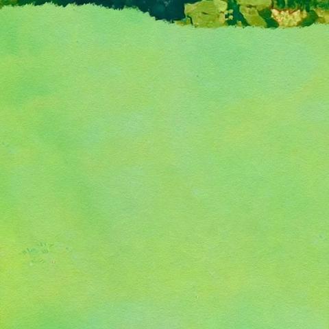 2025年度教师个人专业发展规划（王文静）