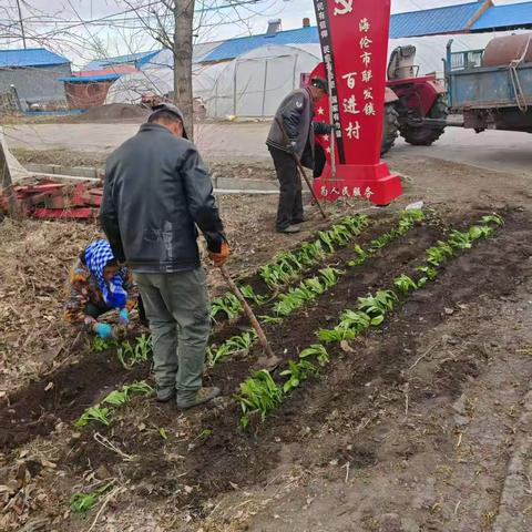 精心育苗巧移栽 联发镇绘就乡村“花样”新图景