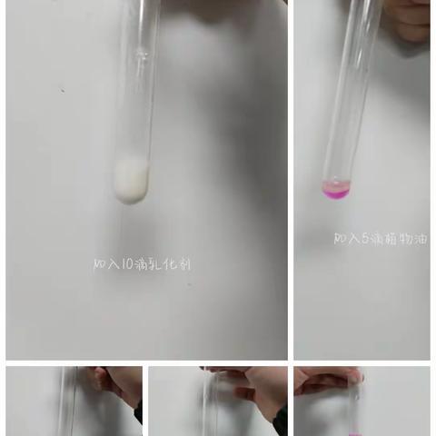 营养与生命化合物的性质