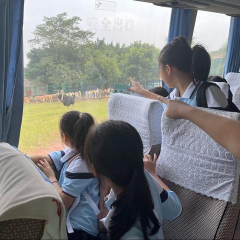 重庆市渝中区望龙门小学校四年级一班丨行走的思政课：“唱响自然之歌 领悟生态之美”主题研学活动