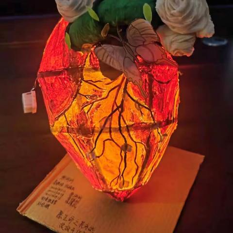 解剖模型，医学之美