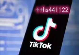 Tiktok shop partner是什么？