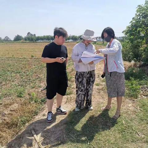 炎炎夏日，高庄镇开展6月份卫片外业核查及耕地恢复潜力调查