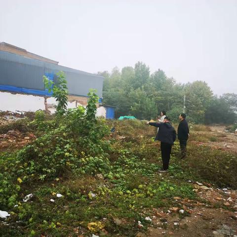 高庄镇全力以赴开展存量违法图斑整改工作