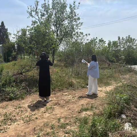 高庄镇全力推进耕地和永久基本农田现状核查工作