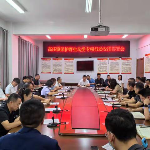 凝心聚力   共护高庄“野”生之美——高庄镇野生动物保护再冲锋